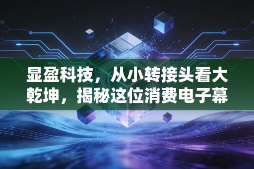 显盈科技,从小转接头看大乾坤,揭秘这位消费电子幕后英雄的生存之道