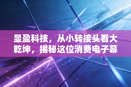 显盈科技，从小转接头看大乾坤，揭秘这位消费电子幕后英雄的生存之道