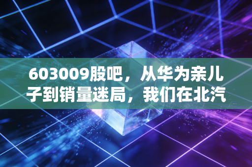 603009股吧,从华为亲儿子到销量迷局,我们在北汽蓝谷身上到底在赌什么?
