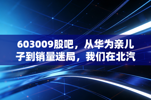 603009股吧，从华为亲儿子到销量迷局，我们在北汽蓝谷身上到底在赌什么？