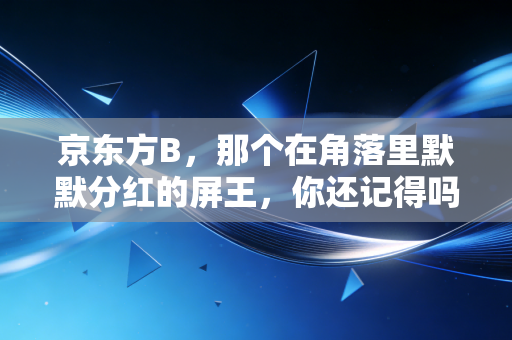 京东方B，那个在角落里默默分红的屏王，你还记得吗？