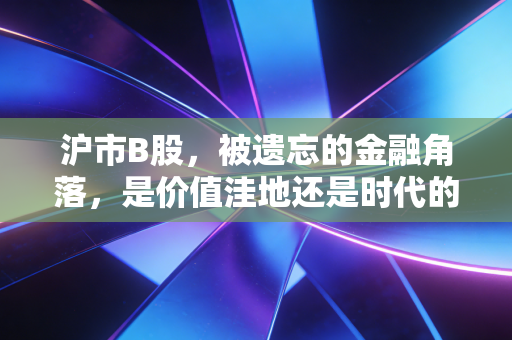 沪市B股,被遗忘的金融角落,是价值洼地还是时代的眼泪?