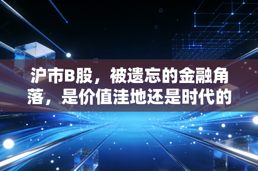 沪市B股，被遗忘的金融角落，是价值洼地还是时代的眼泪？