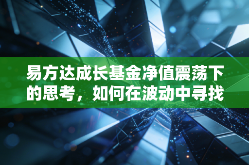 易方达成长基金净值震荡下的思考，如何在波动中寻找成长的确定性？