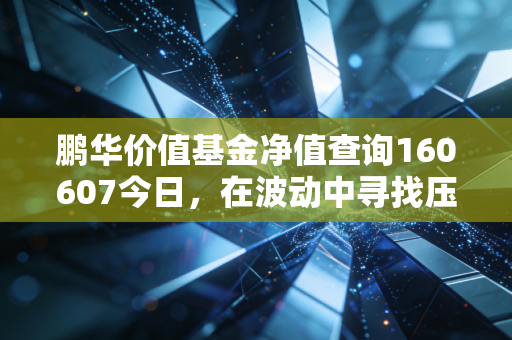 鹏华价值基金净值查询160607今日，在波动中寻找压舱石的定力