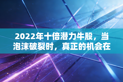 2022年十倍潜力牛股,当泡沫破裂时,真正的机会在旧时代的尘埃里