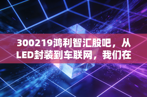 300219鸿利智汇股吧,从LED封装到车联网,我们在K线图背后的焦虑与期待