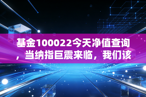 基金100022今天净值查询,当纳指巨震来临,我们该如何守住这份科技信仰?