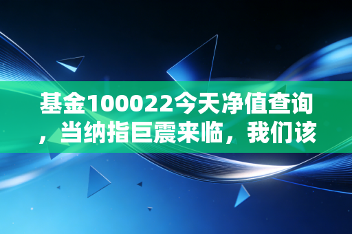 基金100022今天净值查询,当纳指巨震来临,我们该如何守住这份科技信仰?