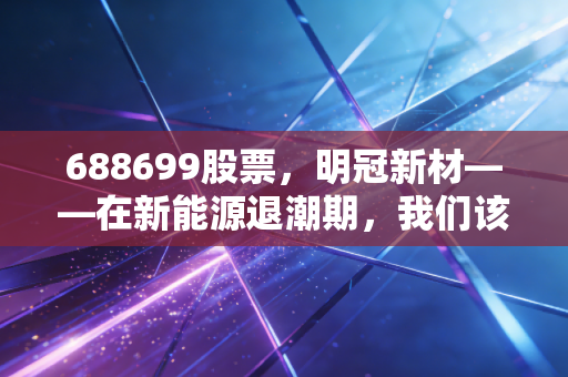 688699股票,明冠新材——在新能源退潮期,我们该如何审视这位隐形材料人?