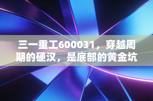 三一重工600031,穿越周期的硬汉,是底部的黄金坑还是漫长的等待?