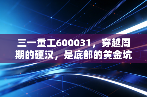 三一重工600031，穿越周期的硬汉，是底部的黄金坑还是漫长的等待？
