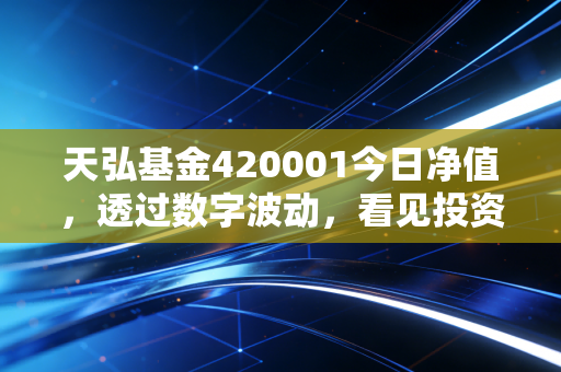 天弘基金420001今日净值，透过数字波动，看见投资的长期修行