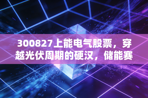 300827上能电气股票,穿越光伏周期的硬汉,储能赛道能否撑起下一个千亿市值?