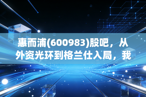 惠而浦(600983)股吧,从外资光环到格兰仕入局,我们在等待什么?