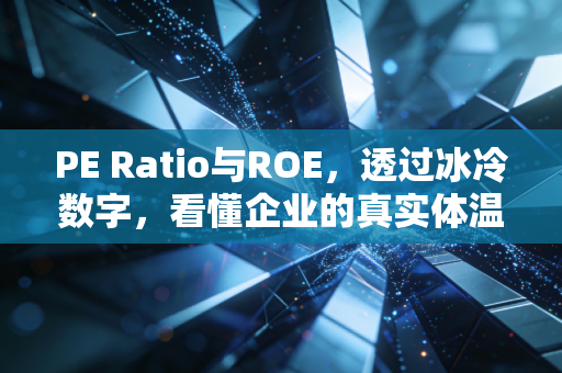 PE Ratio与ROE，透过冰冷数字，看懂企业的真实体温与赚钱能力