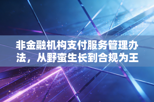 非金融机构支付服务管理办法,从野蛮生长到合规为王,它如何重塑我们的支付生活?