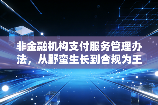 非金融机构支付服务管理办法，从野蛮生长到合规为王，它如何重塑我们的支付生活？