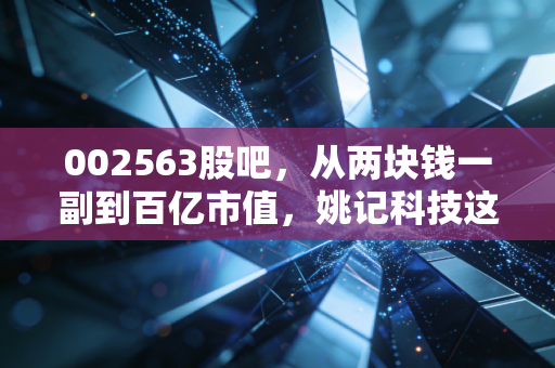 002563股吧，从两块钱一副到百亿市值，姚记科技这副牌到底该怎么打？