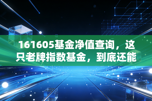 161605基金净值查询,这只老牌指数基金,到底还能不能打?