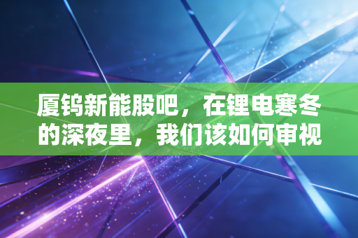 厦钨新能股吧,在锂电寒冬的深夜里,我们该如何审视这家正极材料龙头的未来?