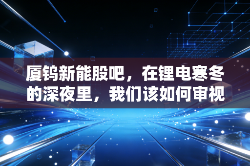 厦钨新能股吧,在锂电寒冬的深夜里,我们该如何审视这家正极材料龙头的未来?