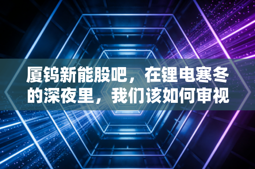 厦钨新能股吧，在锂电寒冬的深夜里，我们该如何审视这家正极材料龙头的未来？