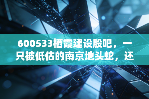 600533栖霞建设股吧，一只被低估的南京地头蛇，还是散户的避风港？