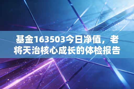 基金163503今日净值,老将天治核心成长的体检报告,给焦虑投资者的定心丸