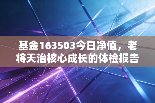基金163503今日净值，老将天治核心成长的体检报告，给焦虑投资者的定心丸