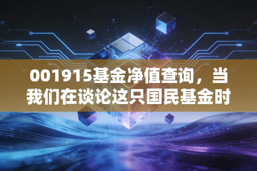 001915基金净值查询,当我们在谈论这只国民基金时,我们在谈论什么?