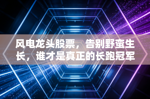 风电龙头股票，告别野蛮生长，谁才是真正的长跑冠军？