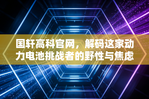 国轩高科官网，解码这家动力电池挑战者的野性与焦虑