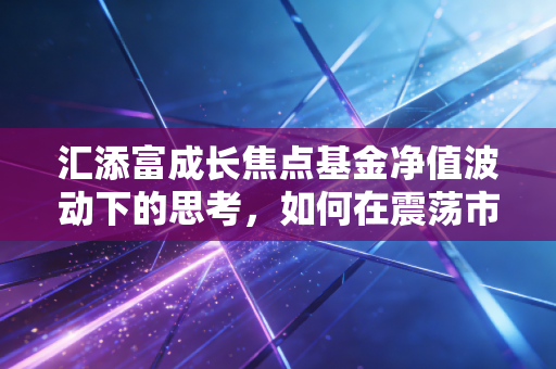 汇添富成长焦点基金净值波动下的思考，如何在震荡市中寻找确定性的成长？