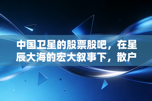中国卫星的股票股吧，在星辰大海的宏大叙事下，散户们究竟在博弈什么？