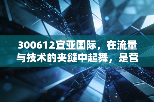 300612宣亚国际,在流量与技术的夹缝中起舞,是营销科技的先锋还是资本市场的变色龙?