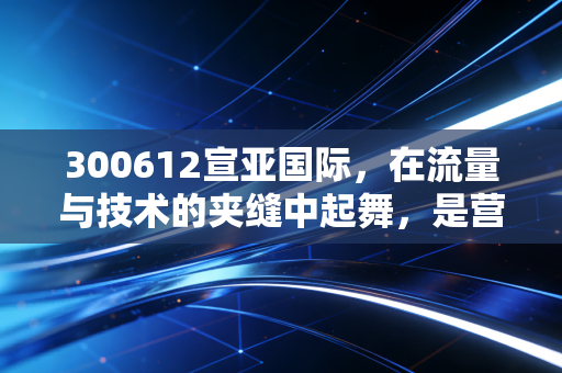 300612宣亚国际，在流量与技术的夹缝中起舞，是营销科技的先锋还是资本市场的变色龙？
