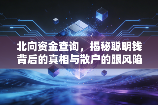 北向资金查询,揭秘聪明钱背后的真相与散户的跟风陷阱