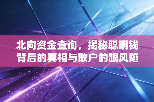 北向资金查询,揭秘聪明钱背后的真相与散户的跟风陷阱
