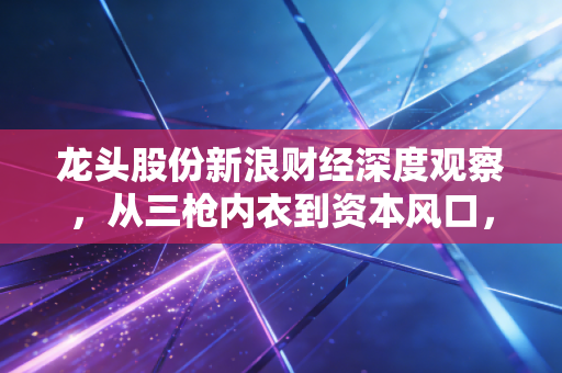 龙头股份新浪财经深度观察，从三枪内衣到资本风口，这波国企改革行情我们要不要追？