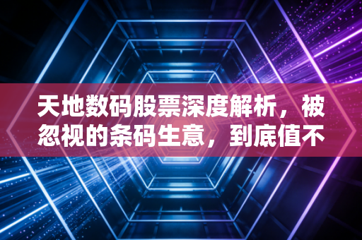 天地数码股票深度解析,被忽视的条码生意,到底值不值得你长期持有?