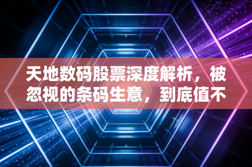 天地数码股票深度解析，被忽视的条码生意，到底值不值得你长期持有？