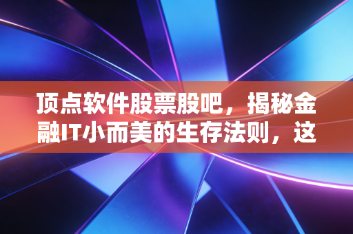 顶点软件股票股吧,揭秘金融IT小而美的生存法则,这只股到底能不能拿十年?