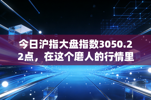 今日沪指大盘指数3050.22点,在这个磨人的行情里,我们该如何安放焦虑?