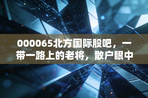 000065北方国际股吧,一带一路上的老将,散户眼中的过山车还是长牛?
