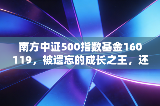 南方中证500指数基金160119,被遗忘的成长之王,还值得我们死守吗?