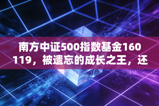 南方中证500指数基金160119,被遗忘的成长之王,还值得我们死守吗?