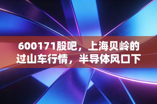 600171股吧，上海贝岭的过山车行情，半导体风口下的散户众生相