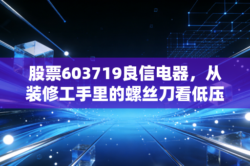 股票603719良信电器,从装修工手里的螺丝刀看低压电器的国产替代之路
