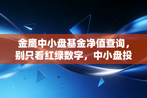 金鹰中小盘基金净值查询,别只看红绿数字,中小盘投资的心跳与未来